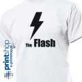 FLASH